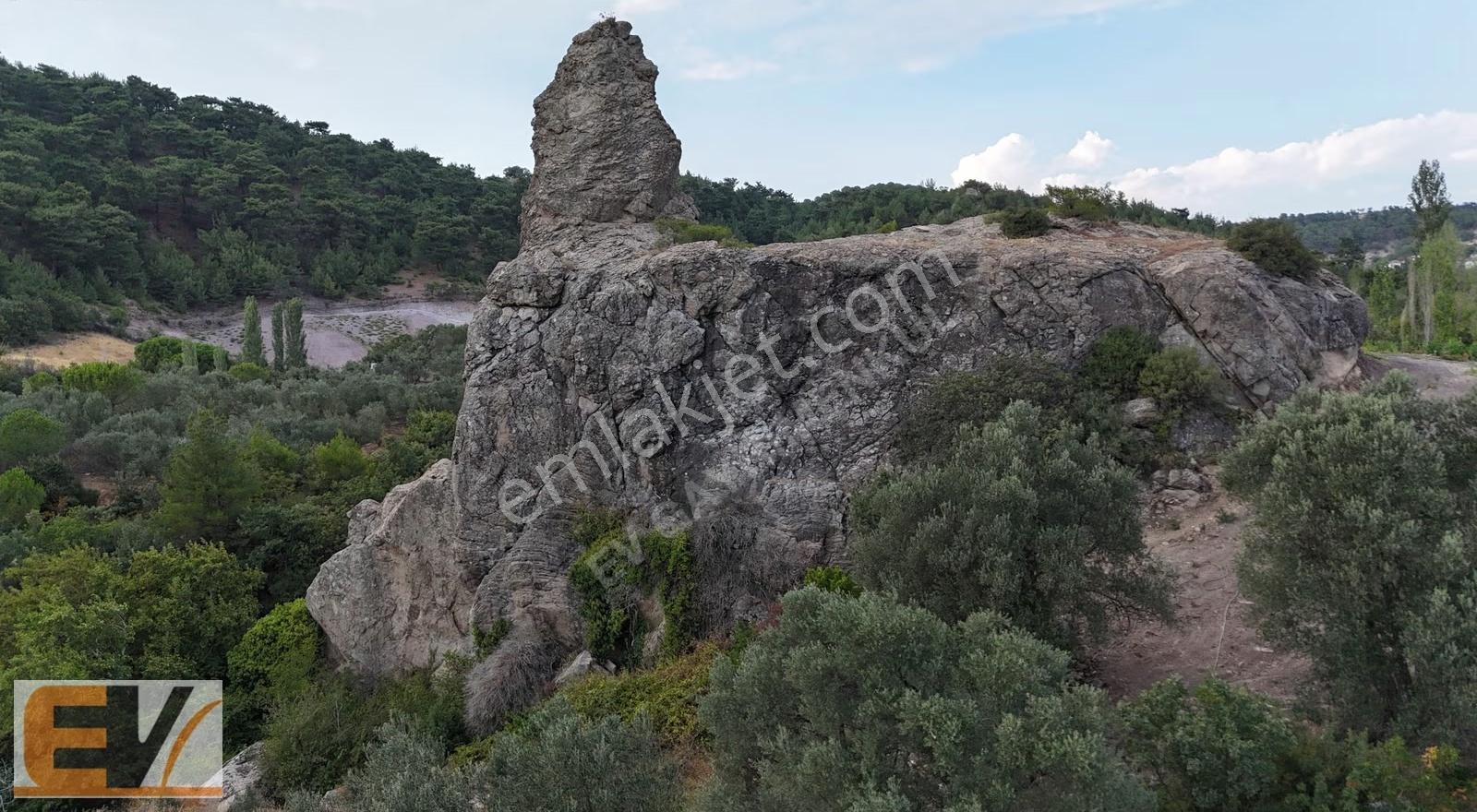 Bergama Alhatlı 1391 M2 Yolu Olan Satılık Parsel - Görsel 24