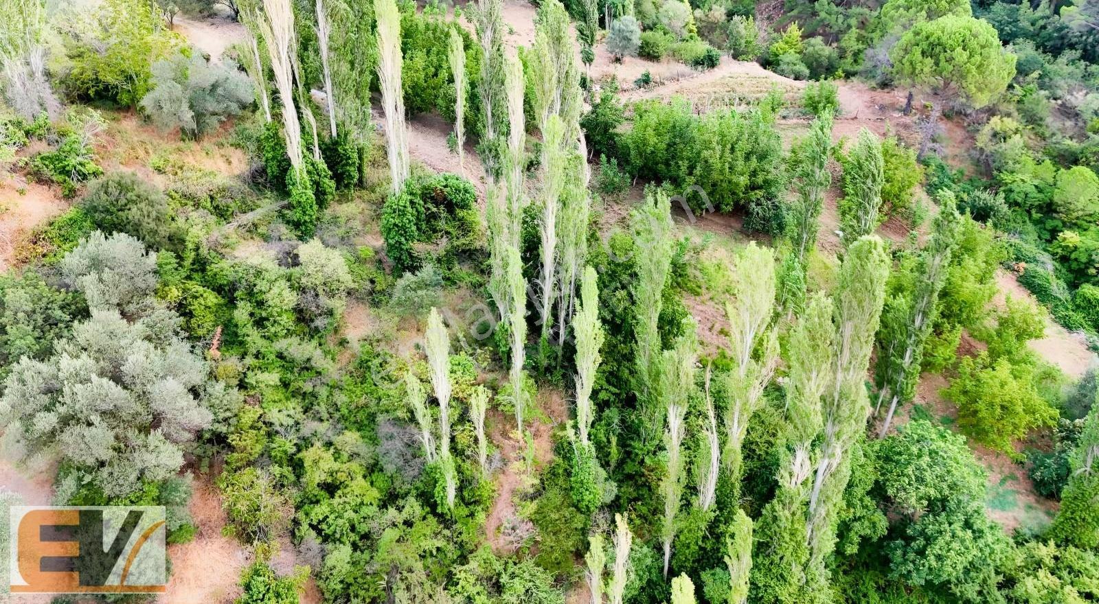 Bergama Alhatlı 1391 M2 Yolu Olan Satılık Parsel - Görsel 2