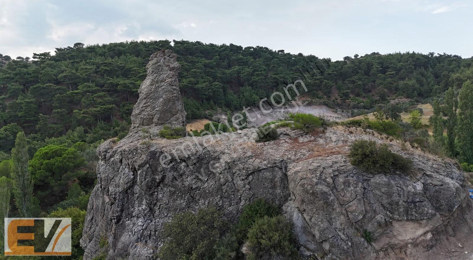 Bergama Alhatlı 1391 M2 Yolu Olan Satılık Parsel - Görsel 15