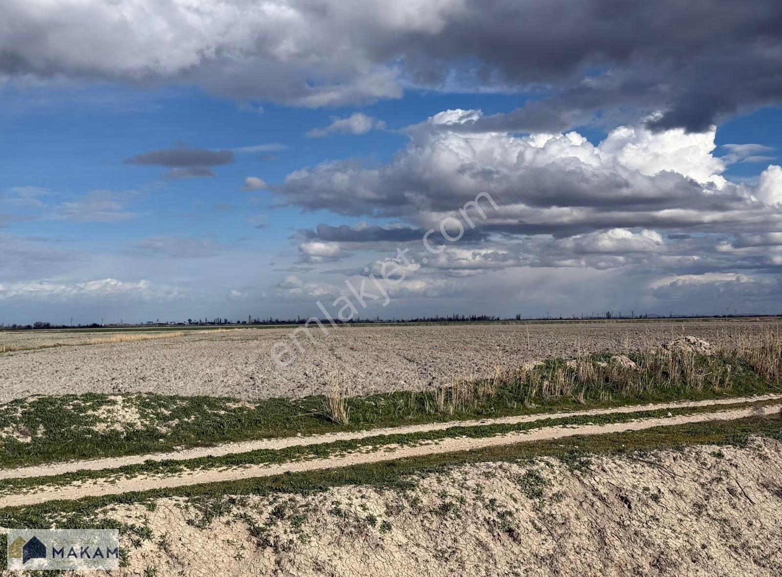 Yarma'da 42.600m2 Müstalık Sulak Tarla - Görsel 3