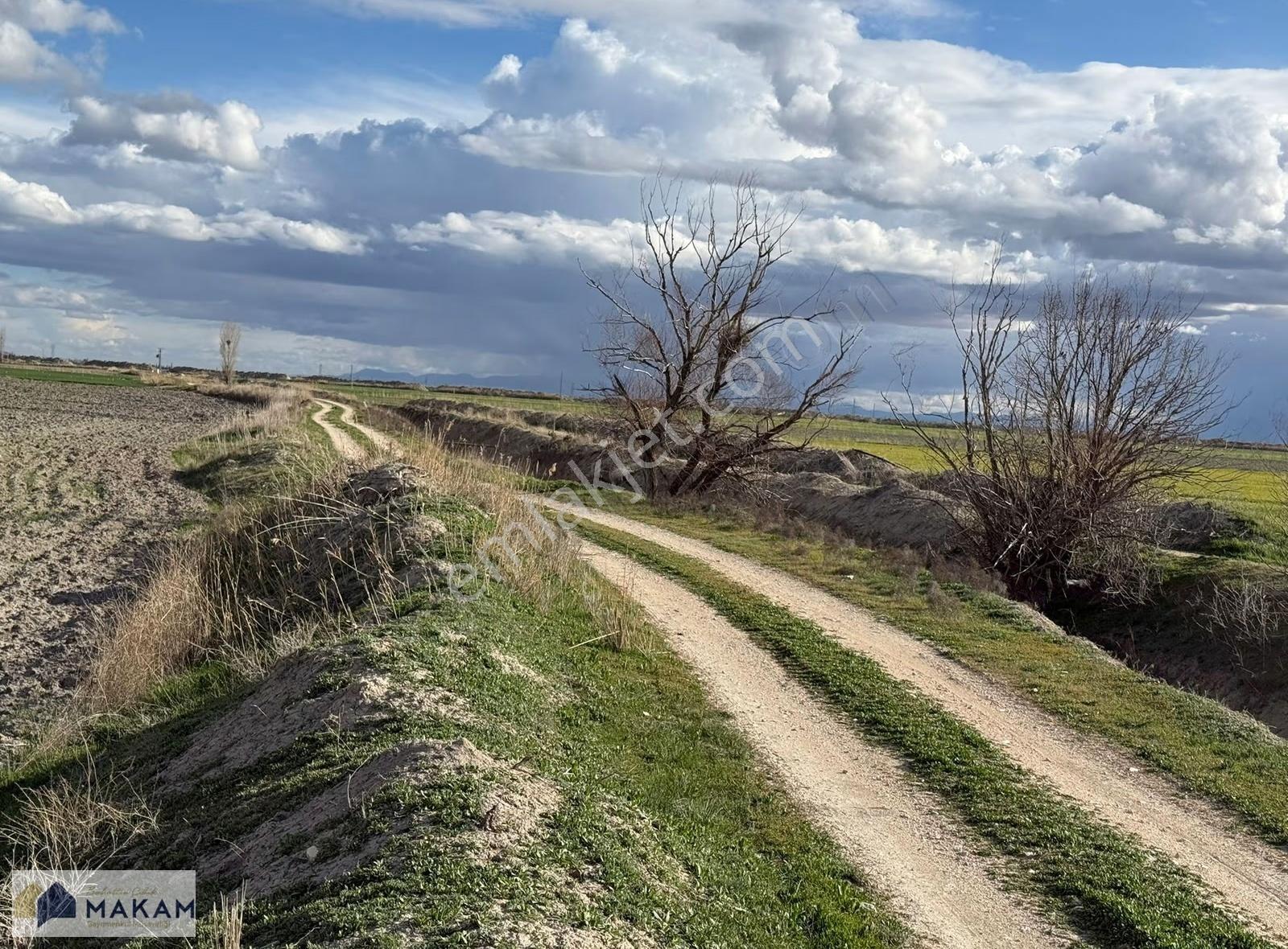 Yarma'da 42.600m2 Müstalık Sulak Tarla