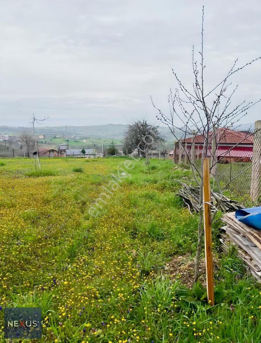 Kocaeli Kandıra Çalyer Mevki Satlık Tarla 1.501 M2 - Görsel 16