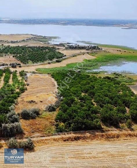 Turyap'tan Baraj Kenarında Boran'da Satılık Tarla - Görsel 23