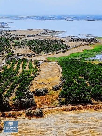 Turyap'tan Baraj Kenarında Boran'da Satılık Tarla - Görsel 6