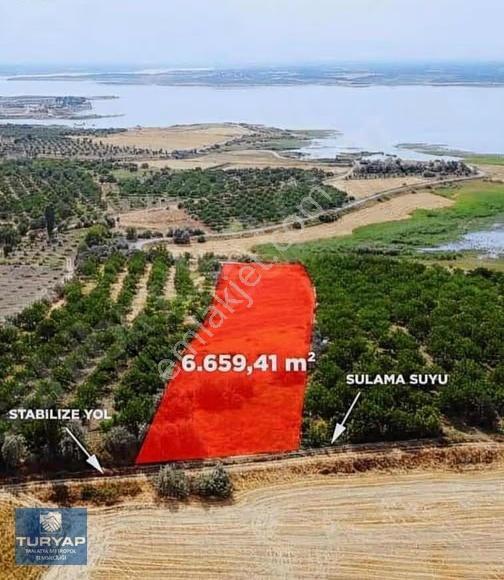 Turyap'tan Baraj Kenarında Boran'da Satılık Tarla - Görsel 2
