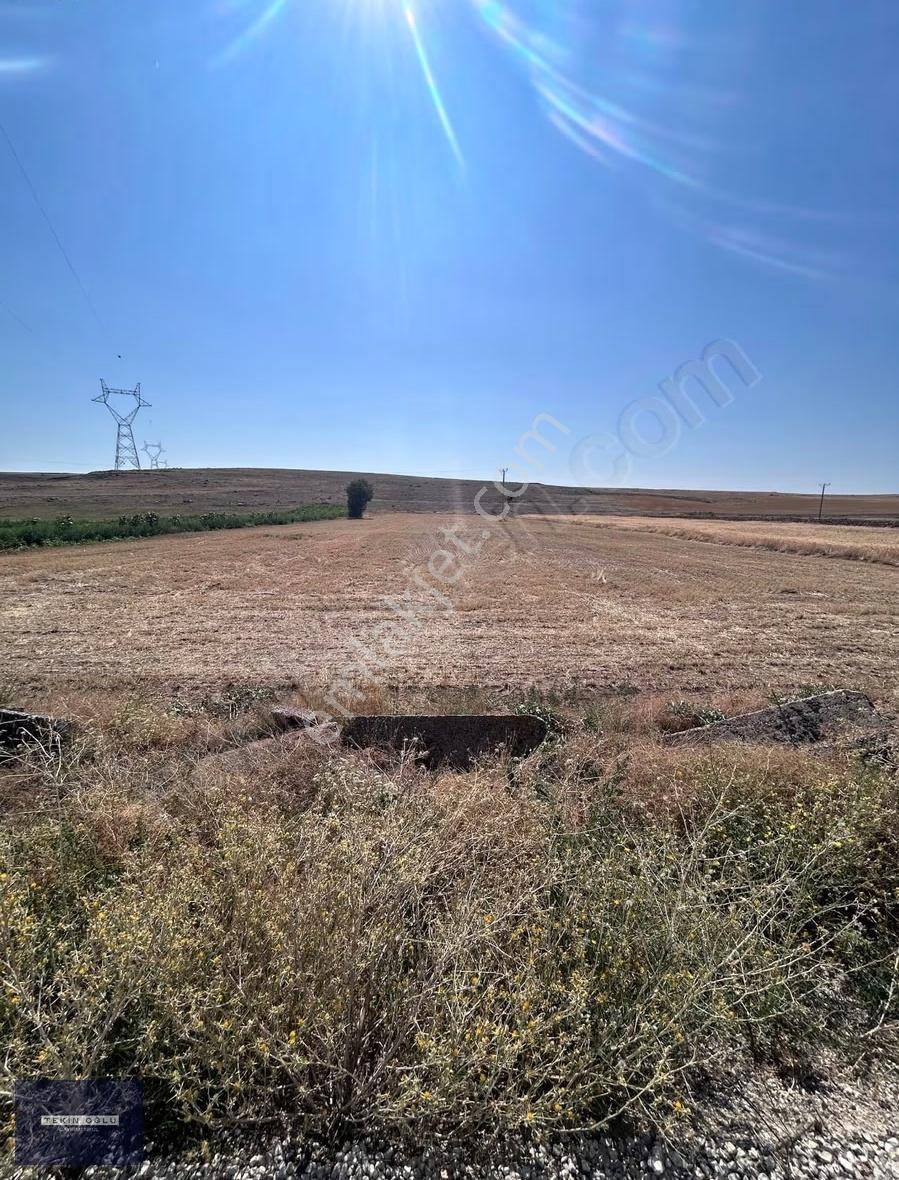 Akören Orhaniye 1.201 M² Asvalt Yola Sıfır Müstakil Sulak Tarla - Görsel 8