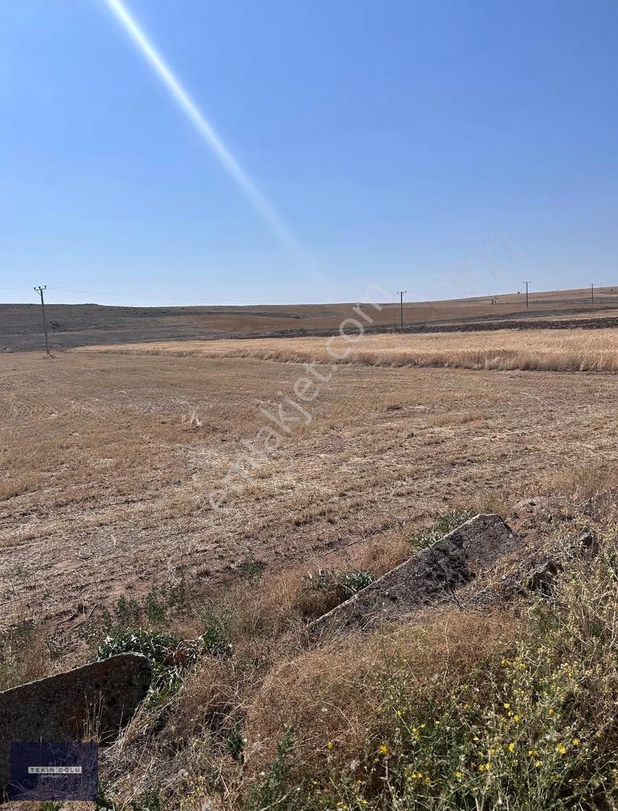 Akören Orhaniye 1.201 M² Asvalt Yola Sıfır Müstakil Sulak Tarla - Görsel 2