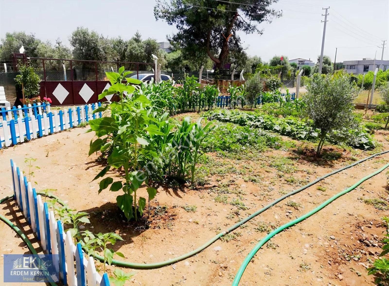 Menderes Oğlananası Mahallesinde Satılık Arsa - Görsel 3