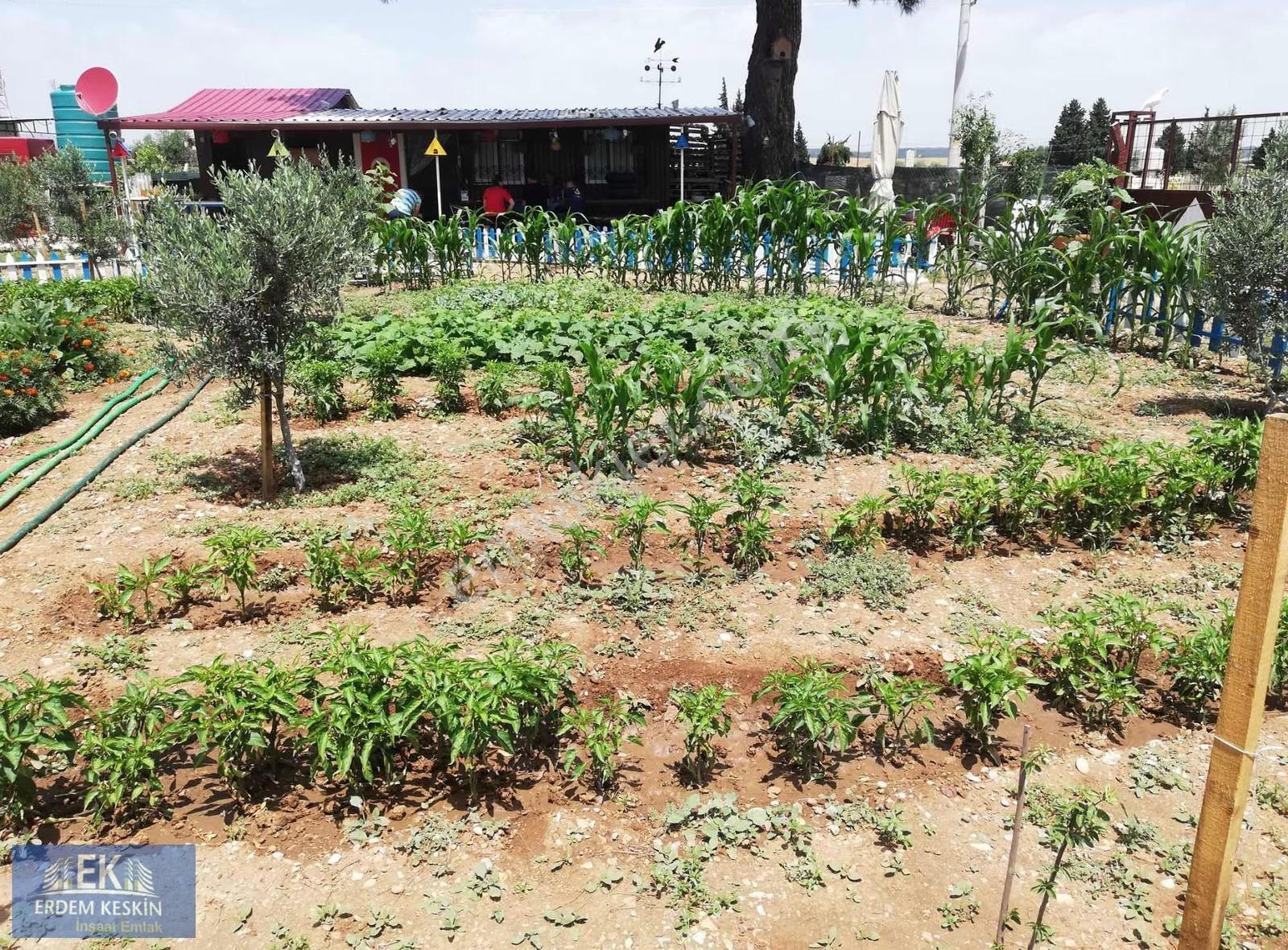 Menderes Oğlananası Mahallesinde Satılık Arsa - Görsel 9