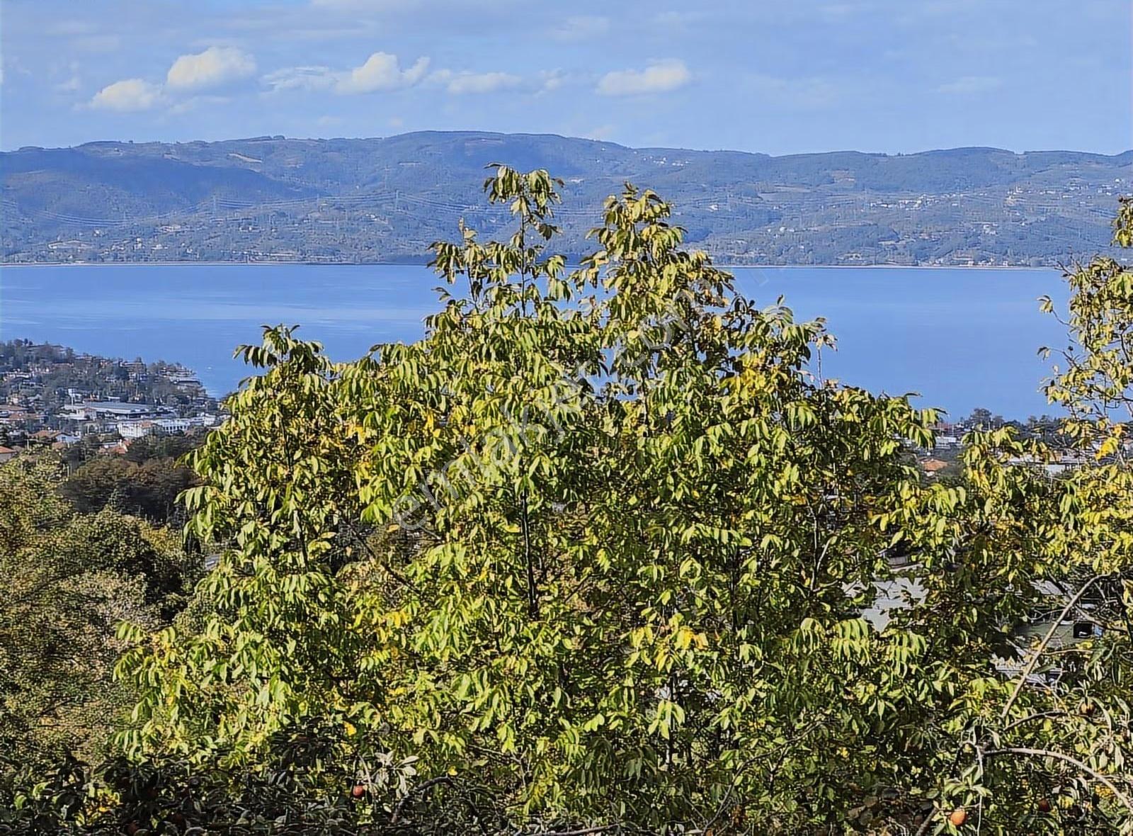 Sapanca'da Muhteşem Panoramik Göl Manzaralı Satılık Villa...