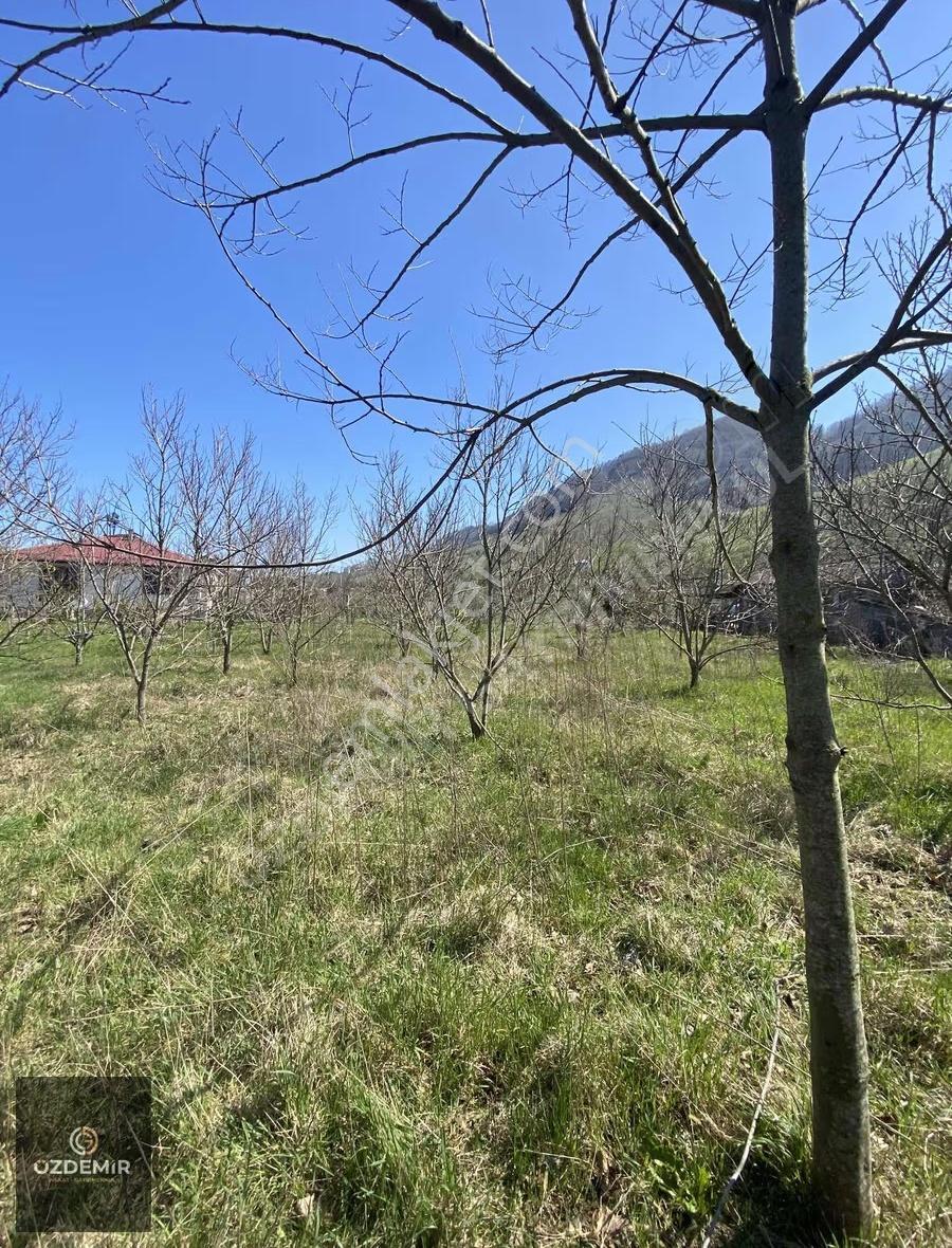 Turnasuyu Mah Satılık Villa İmarlı 680 M2 Arsa Denize Sıfır - Görsel 2