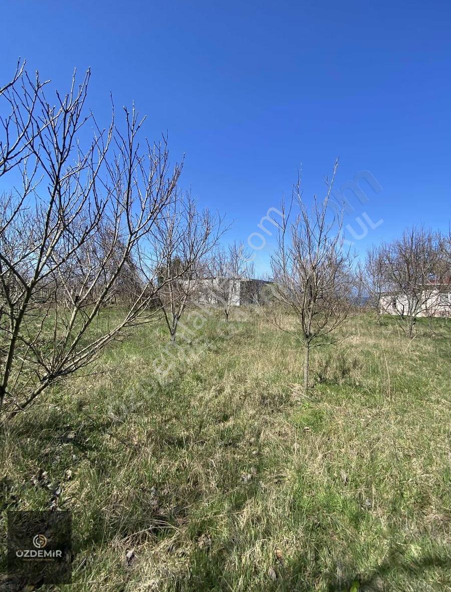Turnasuyu Mah Satılık Villa İmarlı 680 M2 Arsa Denize Sıfır - Görsel 5