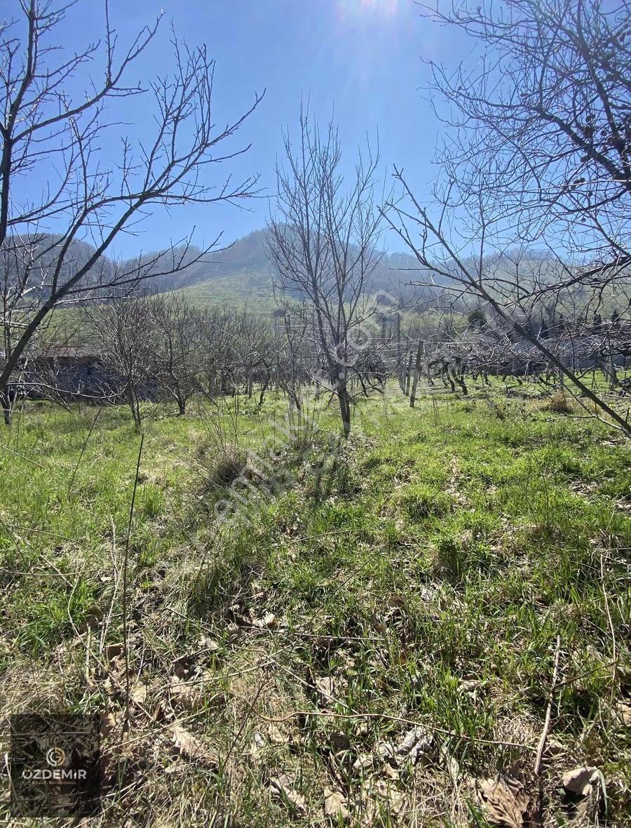Turnasuyu Mah Satılık Villa İmarlı 680 M2 Arsa Denize Sıfır - Görsel 3