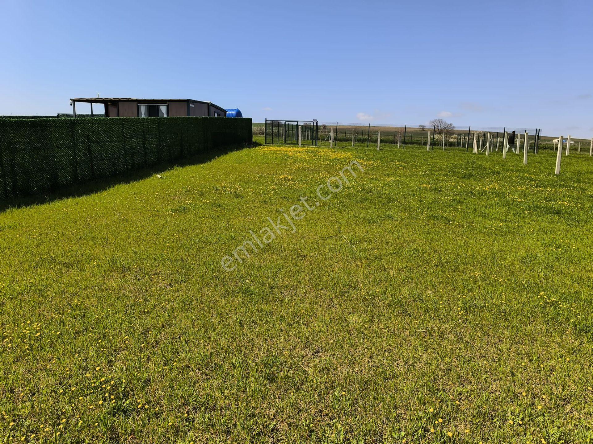 Çatalca Çakıl'da Gelecek Vaat Eden 503 M² Hisseli Arsa - Görsel 18