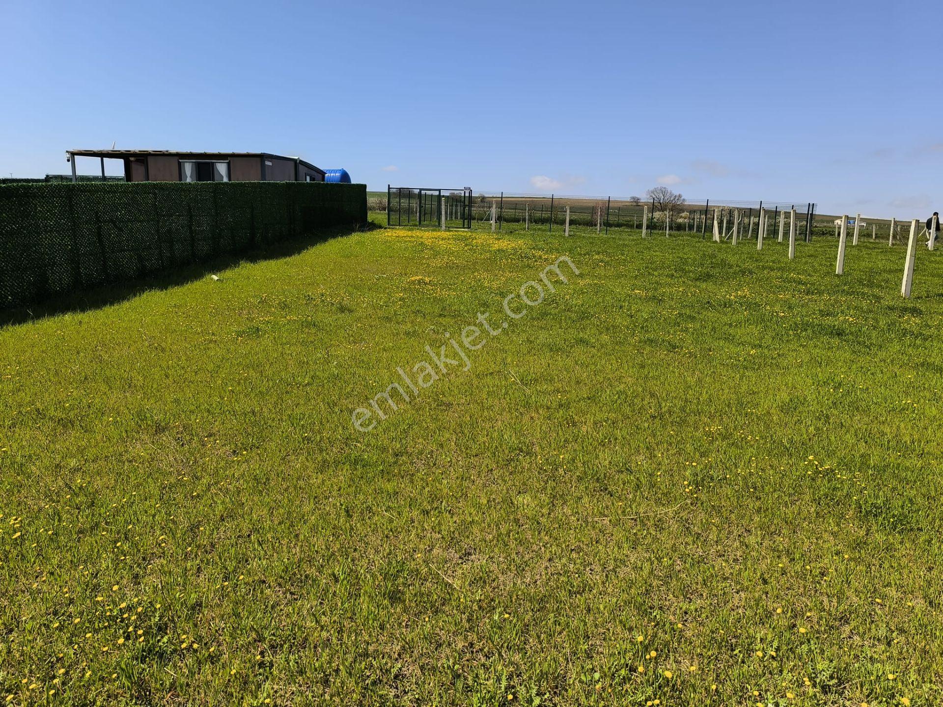 Çatalca Çakıl'da Gelecek Vaat Eden 503 M² Hisseli Arsa - Görsel 12