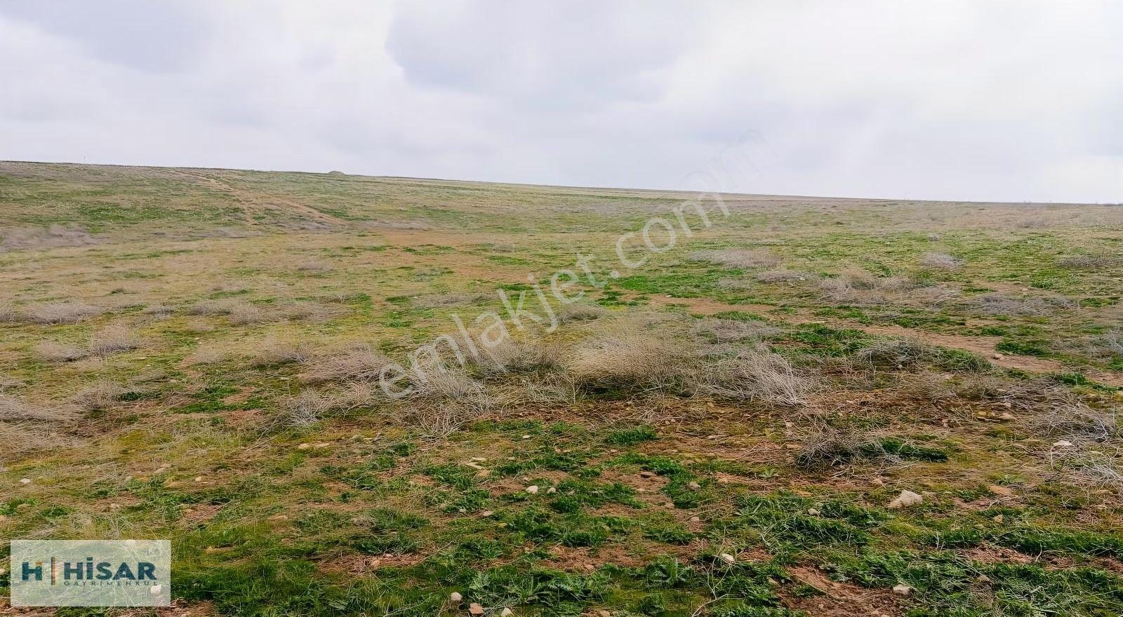 Geleceğe Yatırımlık 5350 M2 Tarla Tek Tapu - Görsel 2