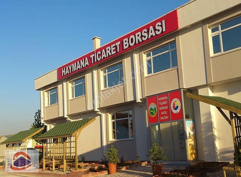 Arsa Toki Konutlarına Yakın Satılık 491 M² Müstakil Villa İmarlı - Görsel 26