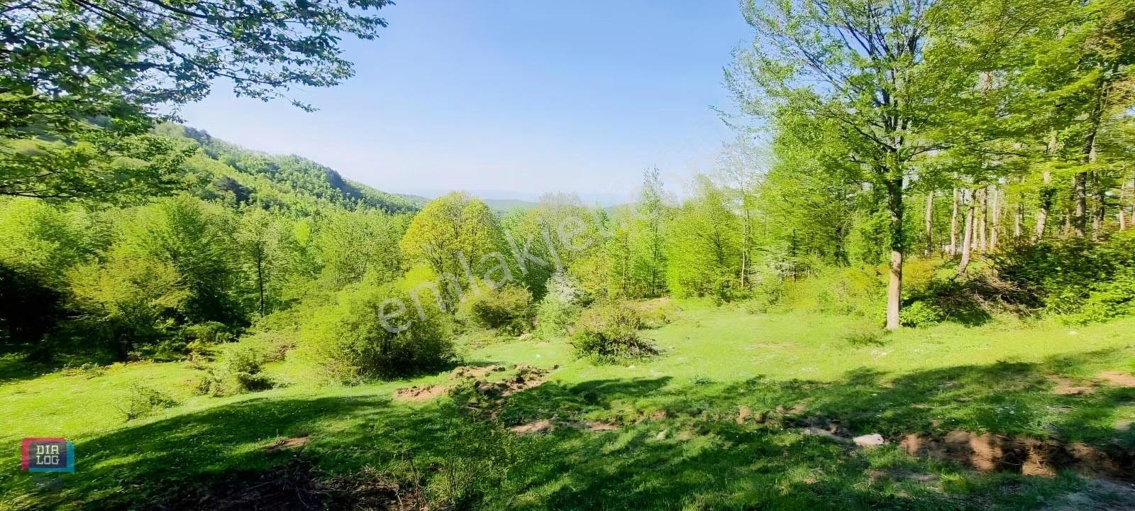 Dtr Skaladan Nilüfer Kadriye'de 5622 M2yatırımlık Satılık Tarla - Görsel 8