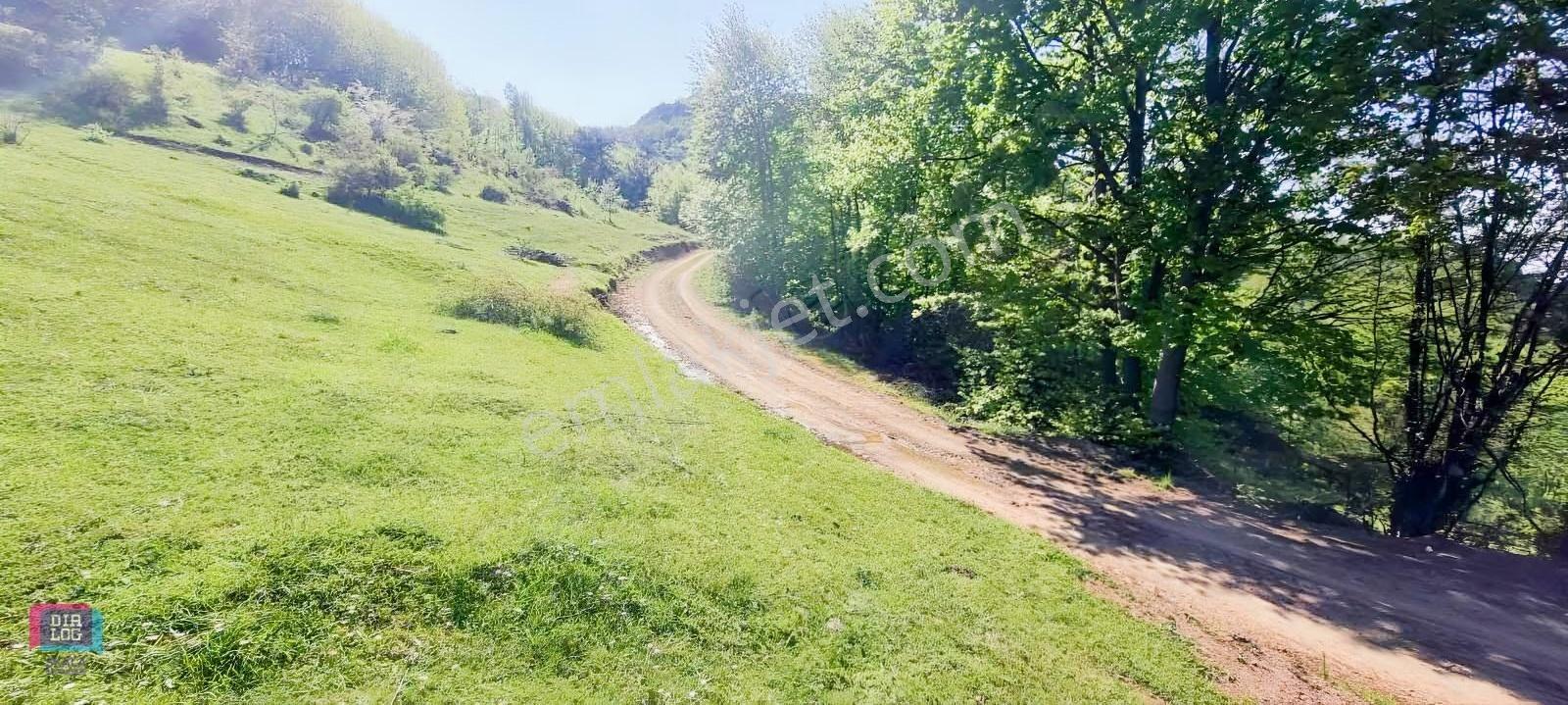 Dtr Skaladan Nilüfer Kadriye'de 5622 M2yatırımlık Satılık Tarla - Görsel 3