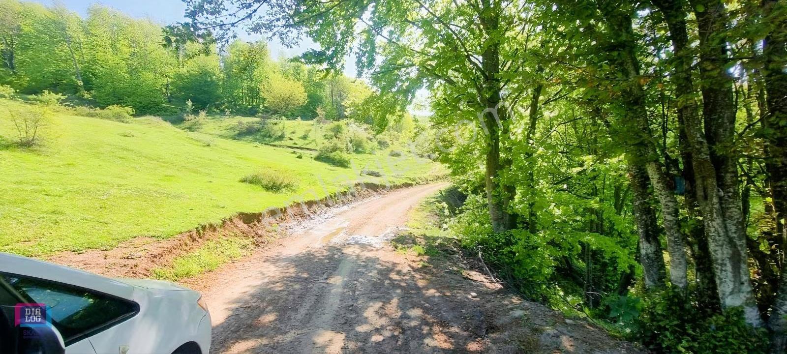 Dtr Skaladan Nilüfer Kadriye'de 5622 M2yatırımlık Satılık Tarla - Görsel 13
