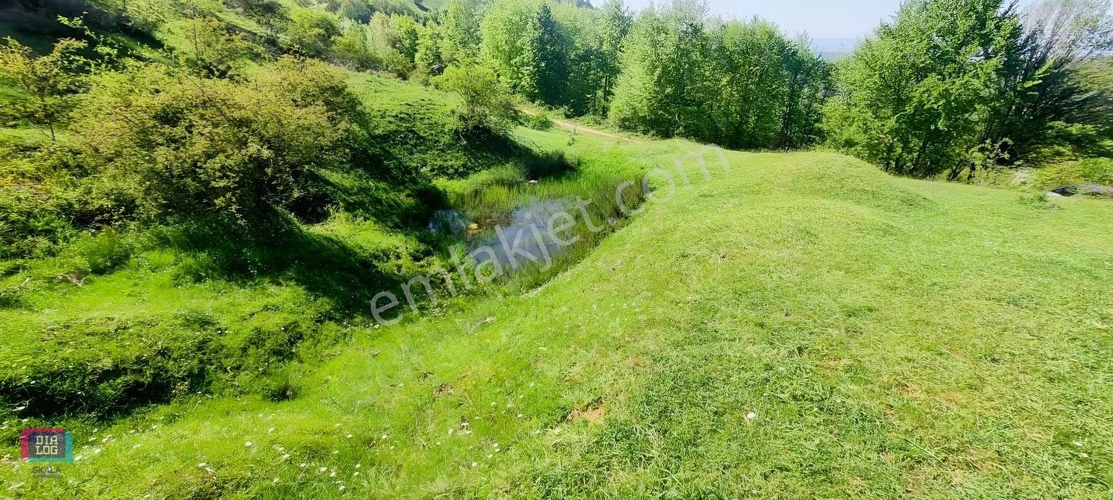 Dtr Skaladan Nilüfer Kadriye'de 5622 M2yatırımlık Satılık Tarla - Görsel 12