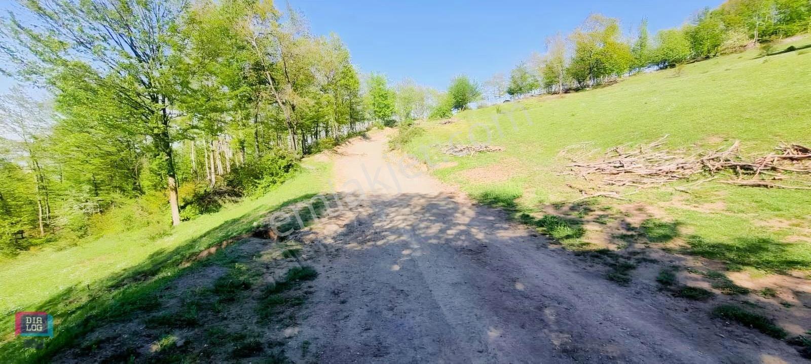 Dtr Skaladan Nilüfer Kadriye'de 5622 M2yatırımlık Satılık Tarla - Görsel 5
