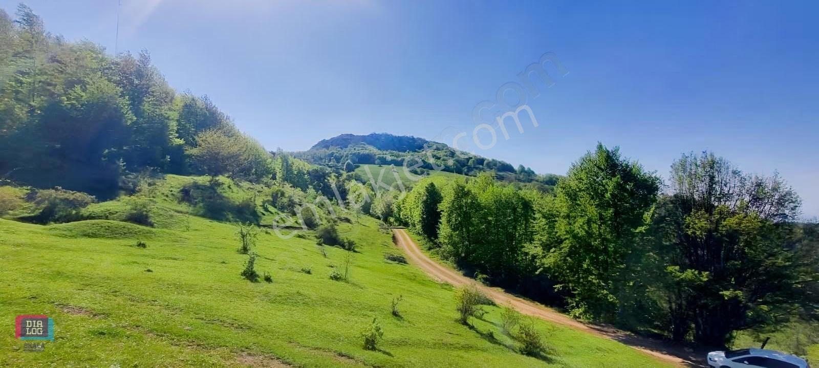 Dtr Skaladan Nilüfer Kadriye'de 5622 M2yatırımlık Satılık Tarla - Görsel 9