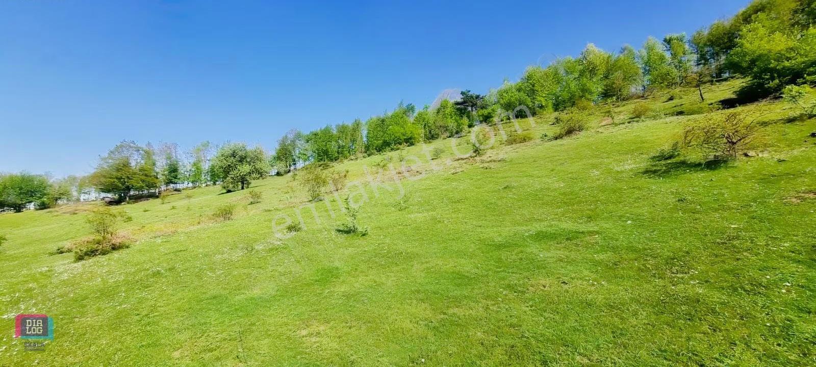 Dtr Skaladan Nilüfer Kadriye'de 5622 M2yatırımlık Satılık Tarla - Görsel 10