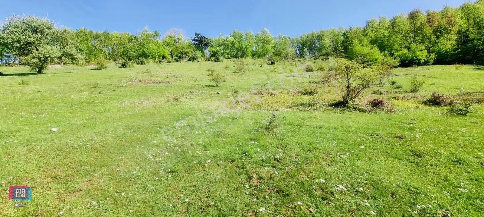 Dtr Skaladan Nilüfer Kadriye'de 5622 M2yatırımlık Satılık Tarla - Görsel 11