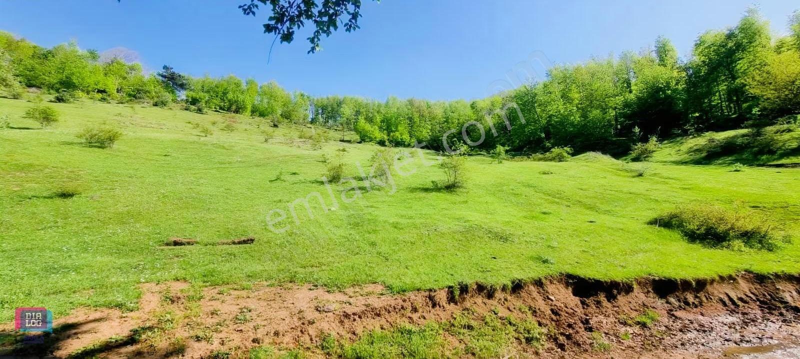 Dtr Skaladan Nilüfer Kadriye'de 5622 M2yatırımlık Satılık Tarla - Görsel 14