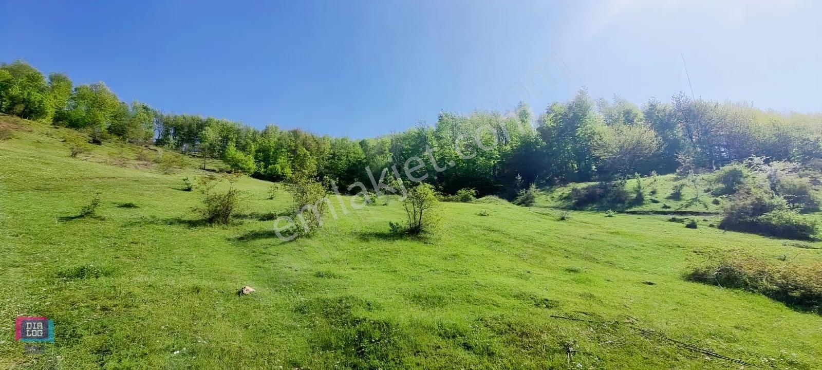 Dtr Skaladan Nilüfer Kadriye'de 5622 M2yatırımlık Satılık Tarla - Görsel 4