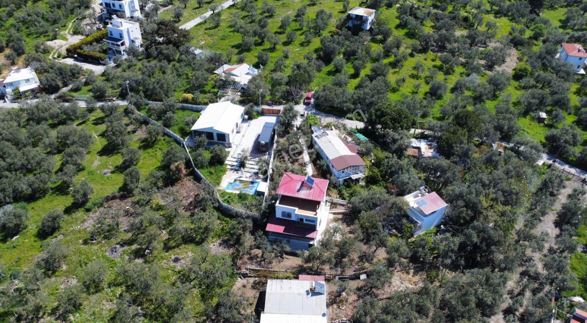Bademli'de Denize 200 M Zeytin Bahçesi İçinde Müstakil Tripleks Villa - Görsel 29