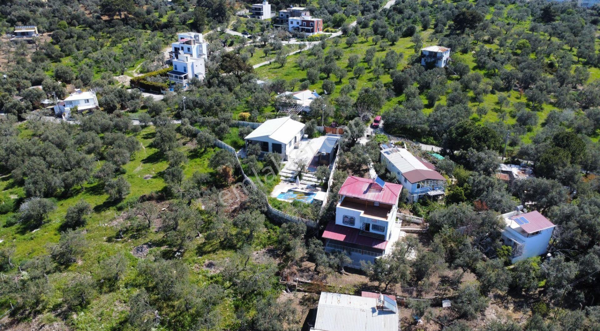 Bademli'de Denize 200 M Zeytin Bahçesi İçinde Müstakil Tripleks Villa - Görsel 31