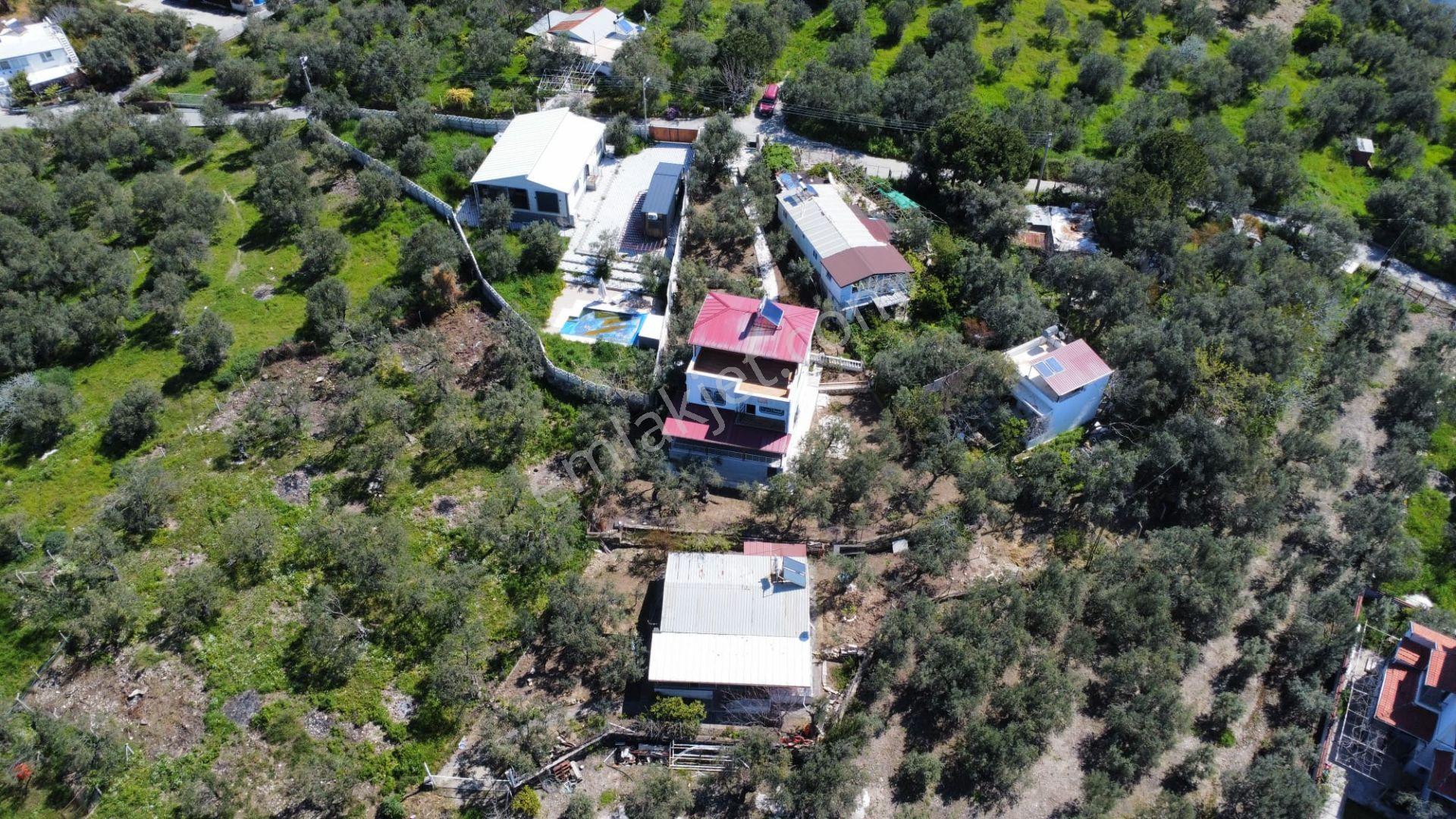 Bademli'de Denize 200 M Zeytin Bahçesi İçinde Müstakil Tripleks Villa - Görsel 34