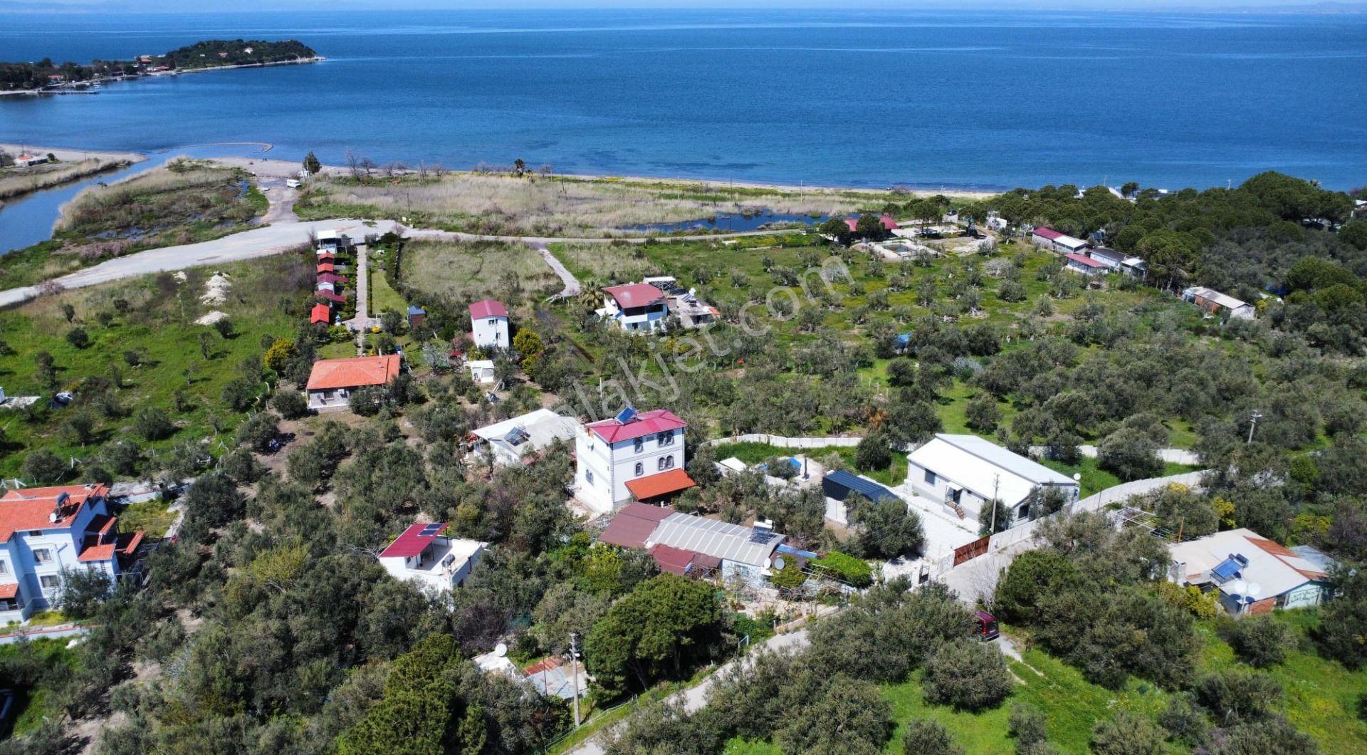 Bademli'de Denize 200 M Zeytin Bahçesi İçinde Müstakil Tripleks Villa
