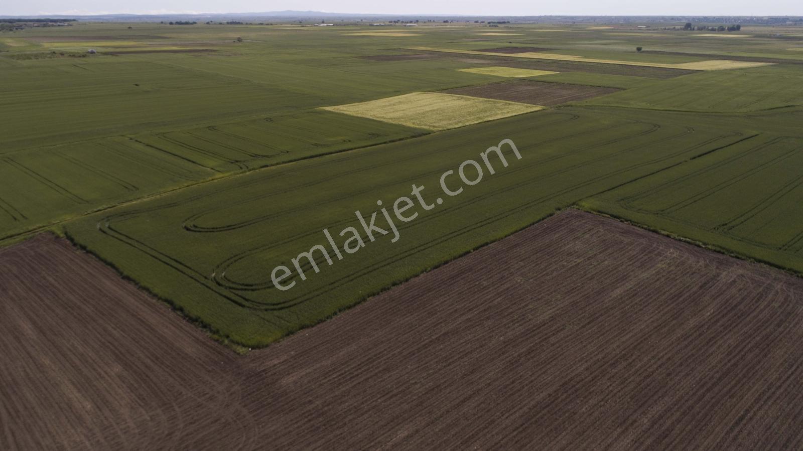 Saray Beyazköy Mahallesinde 4000 M2 Tek Tapu Tarla - Görsel 4