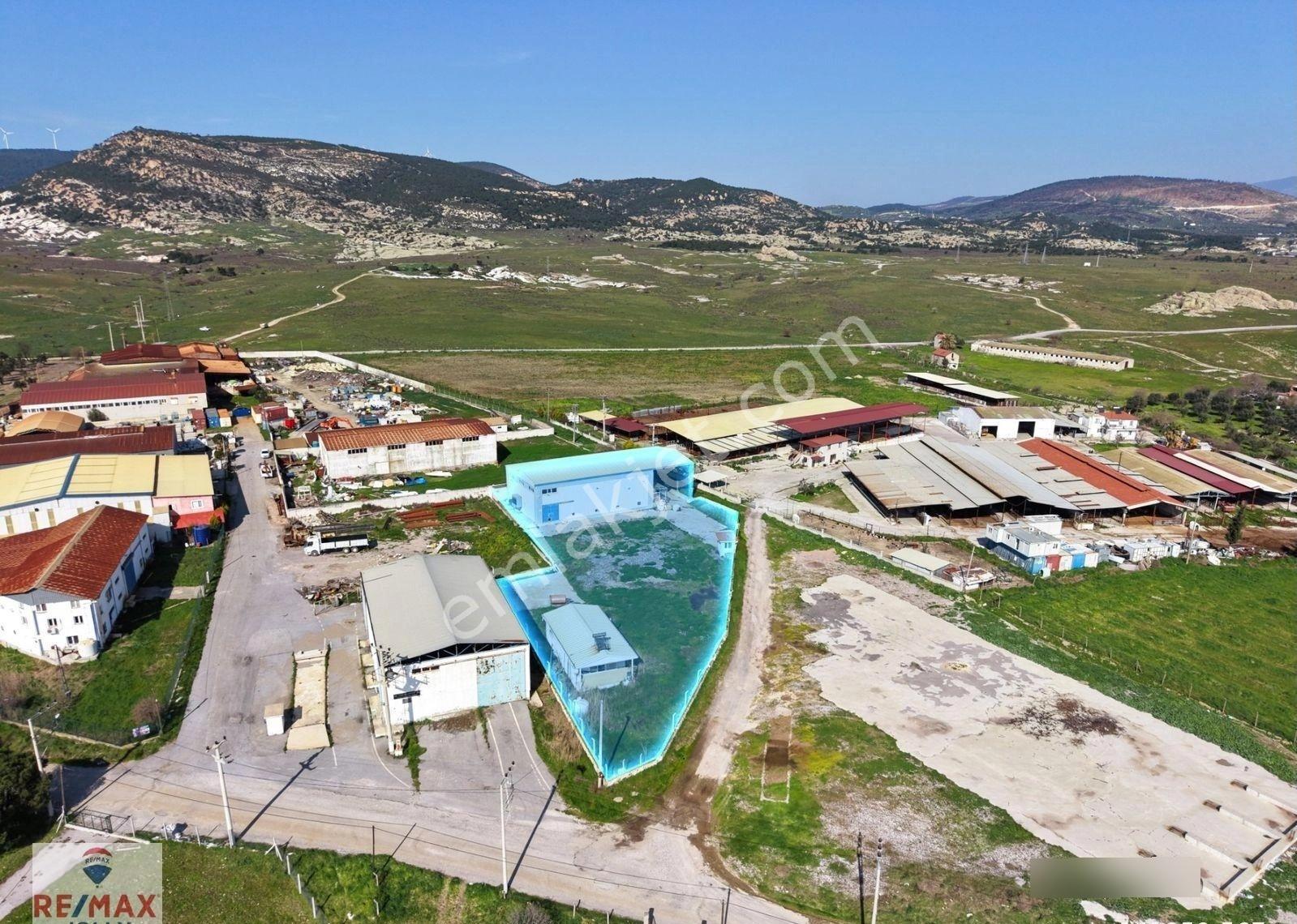 Foça Bağarası Sanayi Bölgesi Satılık Arsa Ve Soğuk Hava Deposu - Görsel 9