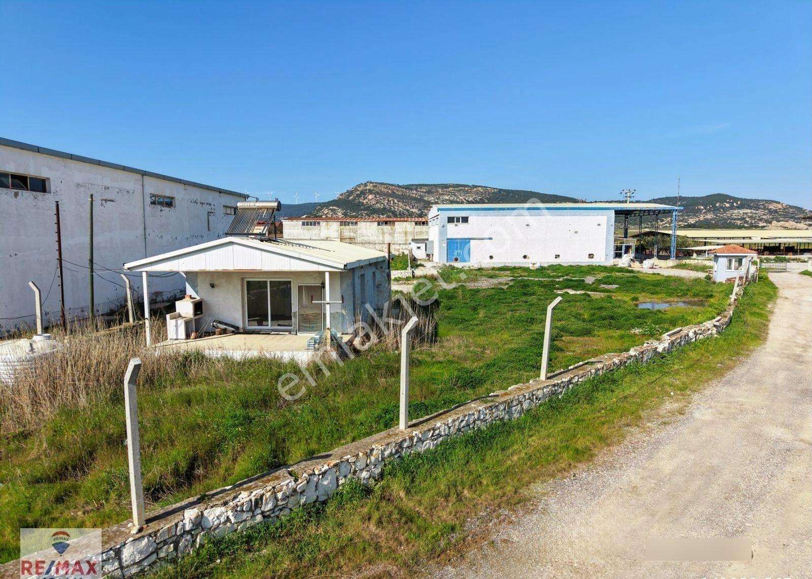 Foça Bağarası Sanayi Bölgesi Satılık Arsa Ve Soğuk Hava Deposu - Görsel 26