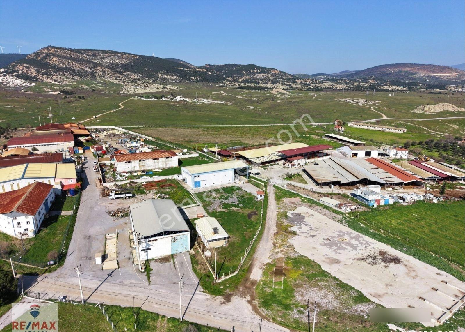 Foça Bağarası Sanayi Bölgesi Satılık Arsa Ve Soğuk Hava Deposu - Görsel 8