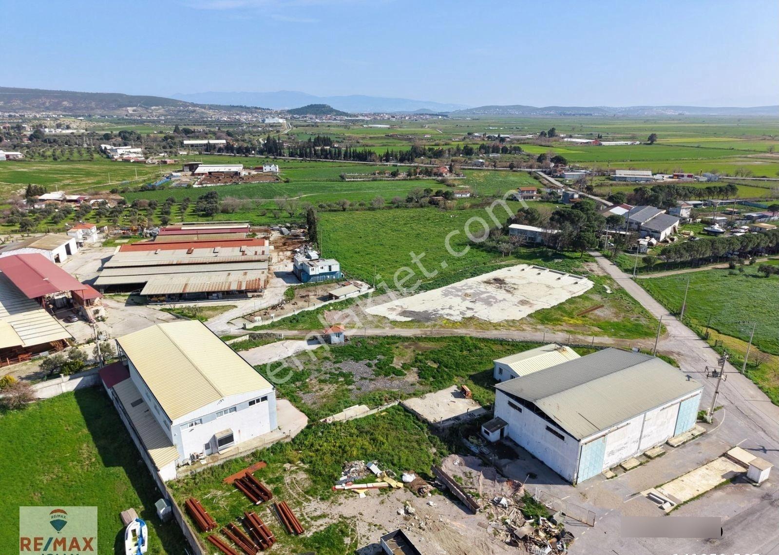 Foça Bağarası Sanayi Bölgesi Satılık Arsa Ve Soğuk Hava Deposu - Görsel 24