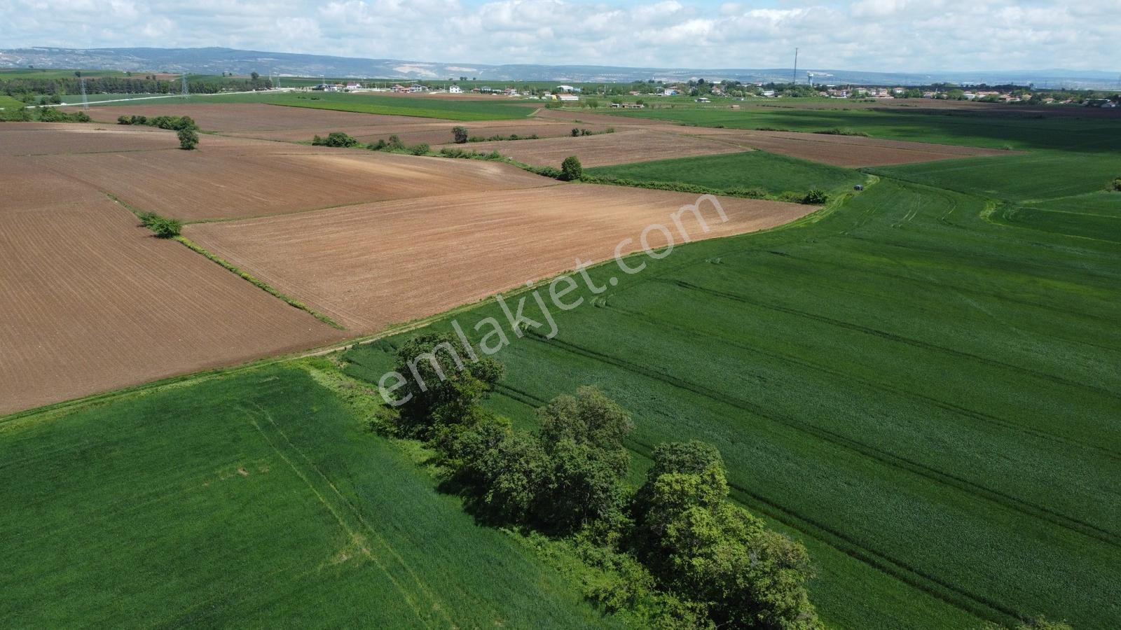 Vize Hasbuğa Köyünde 663 M2 Çaplı Hisse - Görsel 8