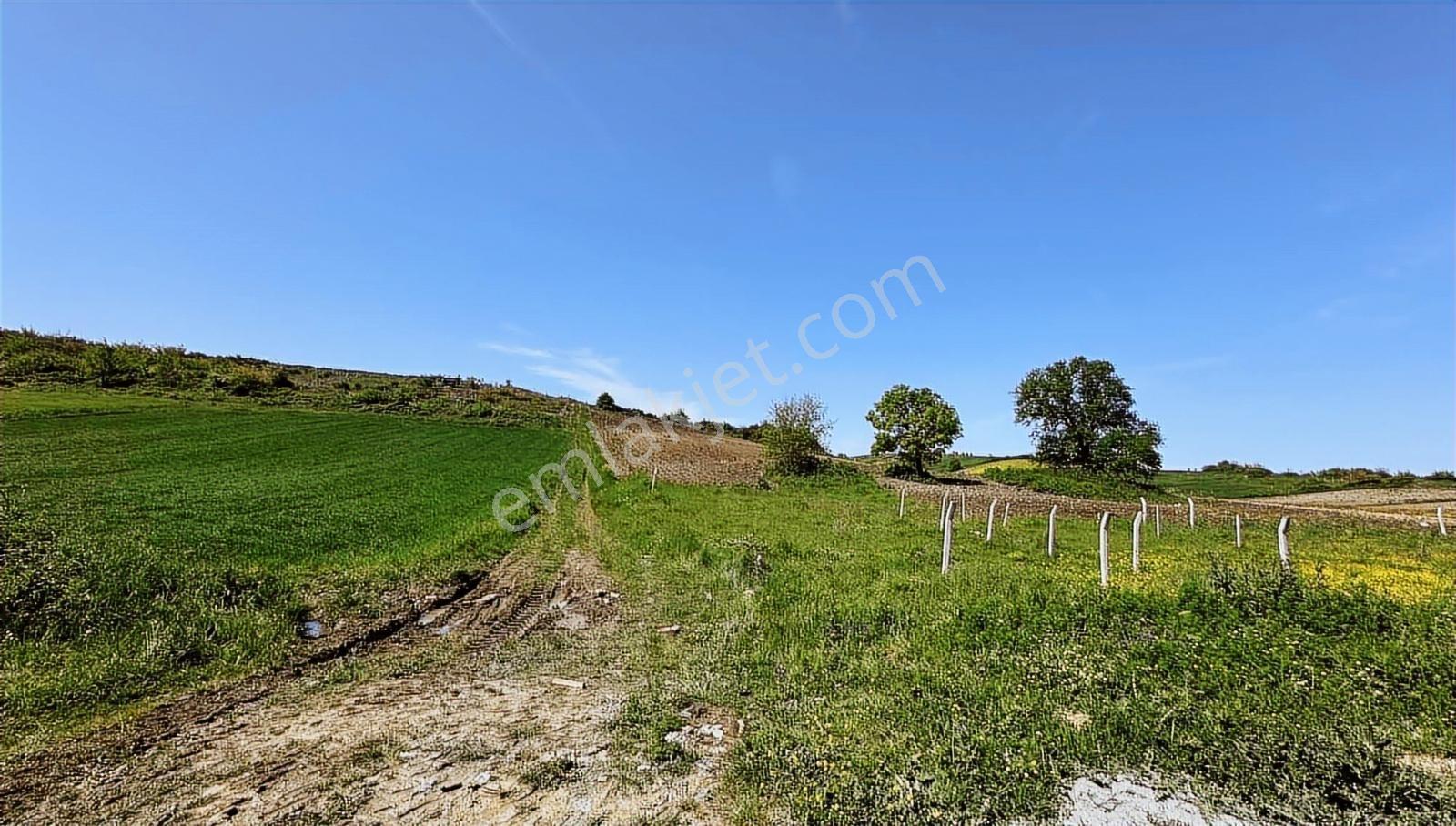 Haraçıda Çevrili 215 M2 - Görsel 3
