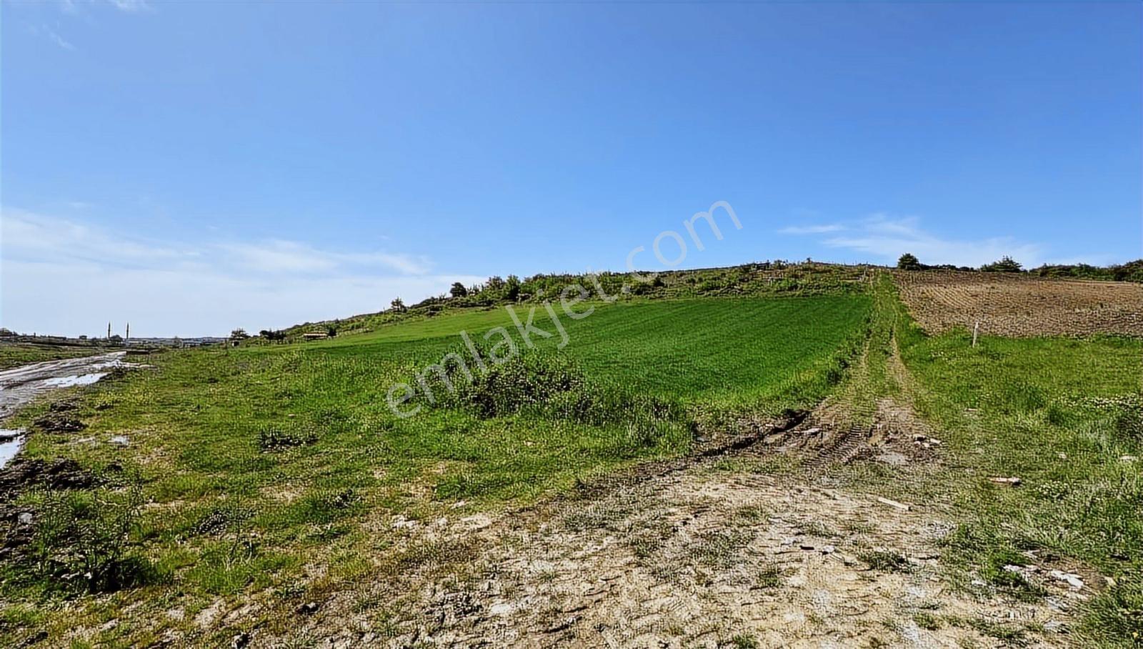 Haraçıda Çevrili 215 M2 - Görsel 2