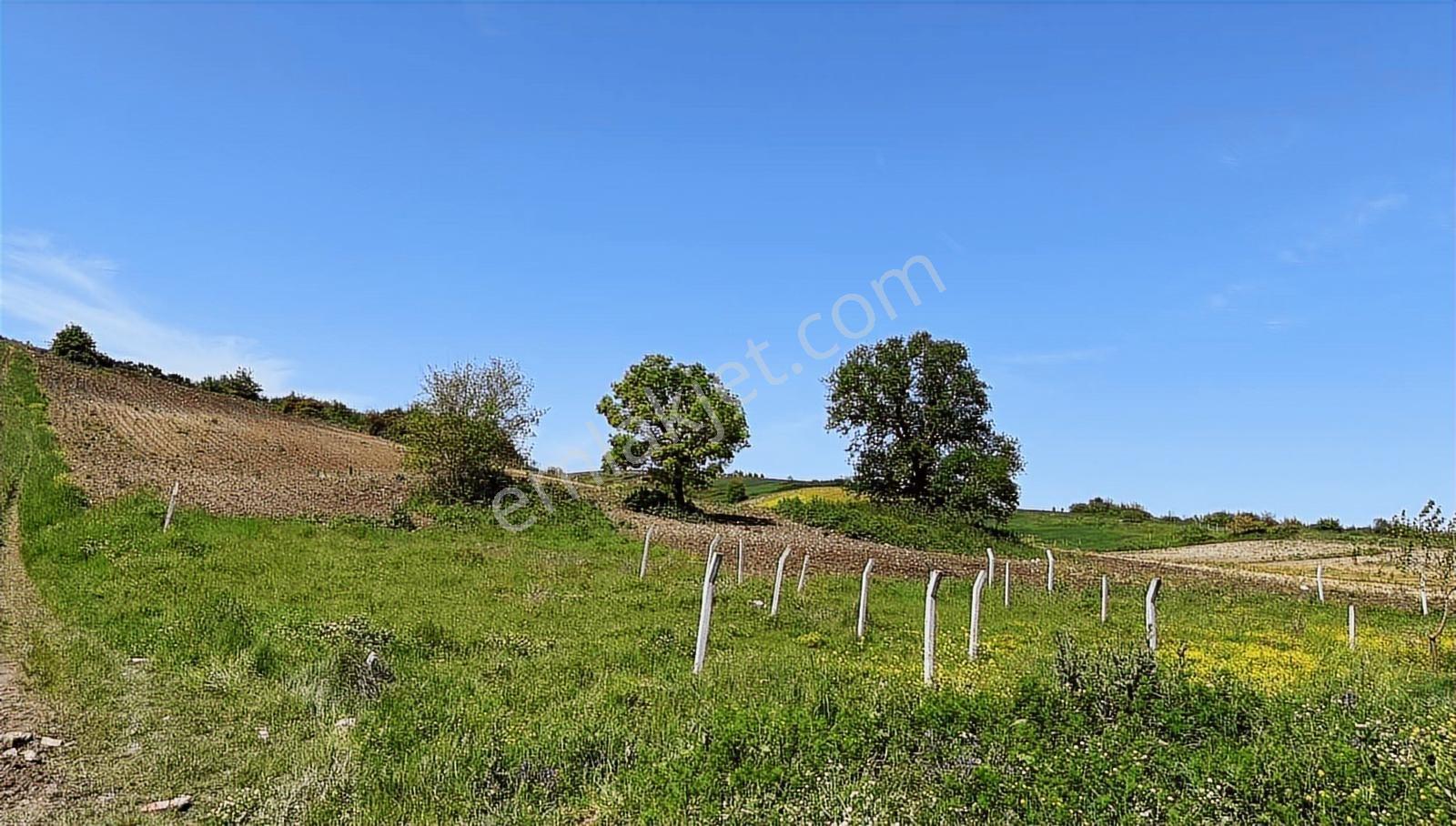 Haraçıda Çevrili 215 M2 - Görsel 7