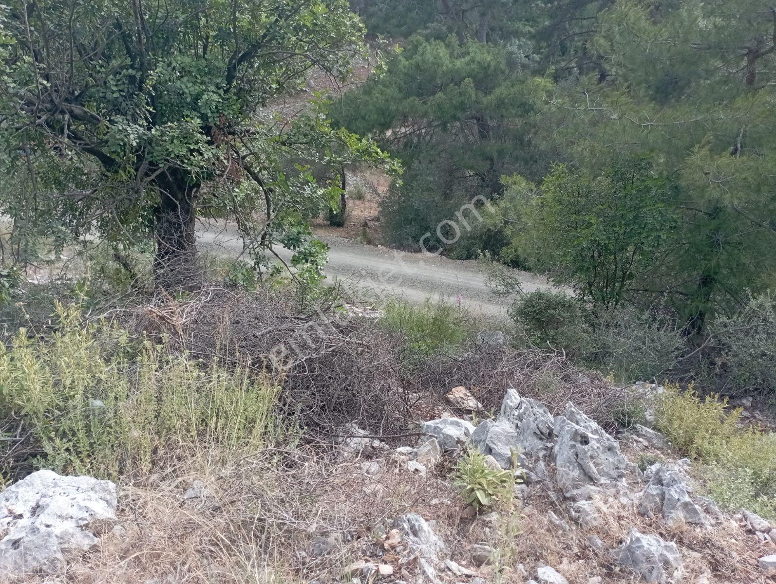 Dalaman Kapıkargın Mah Satılık Arazi - Görsel 7