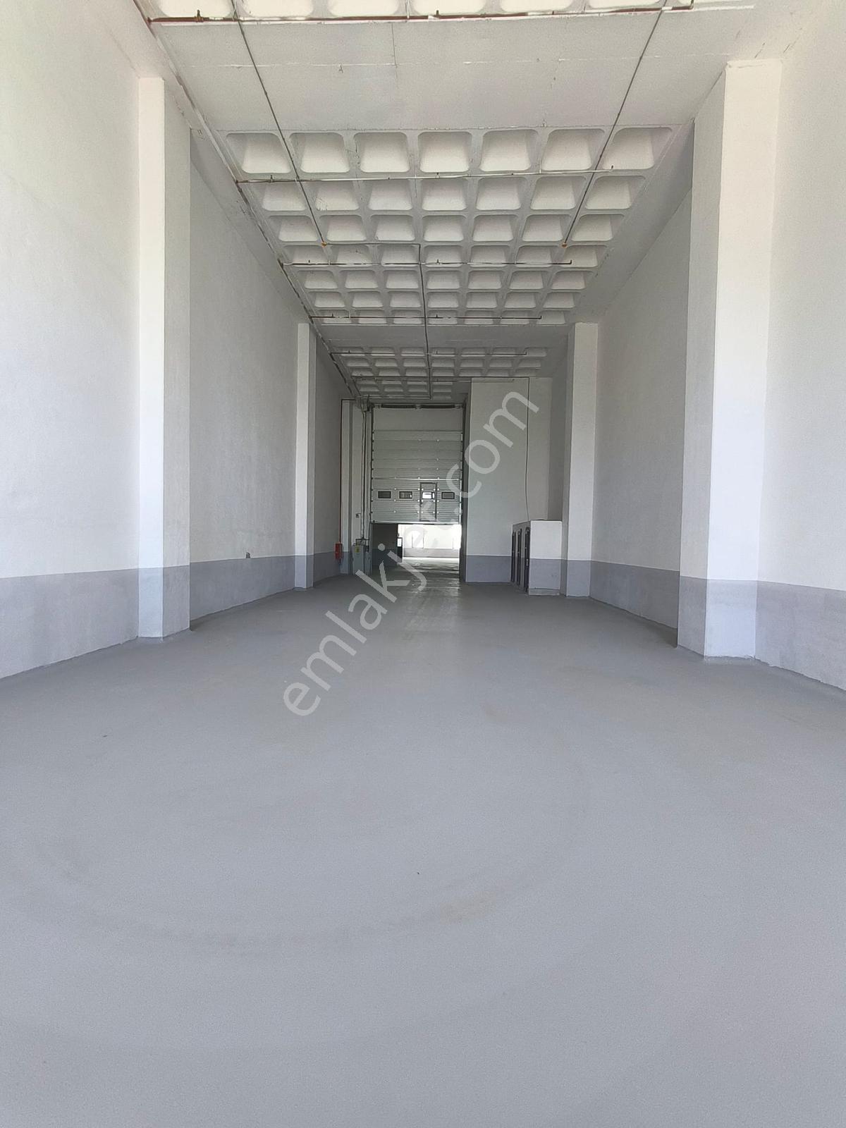 C21nexar'dan Akçaburgaz'da 12016 M2 Depo&antrepo&imalathane - Görsel 9