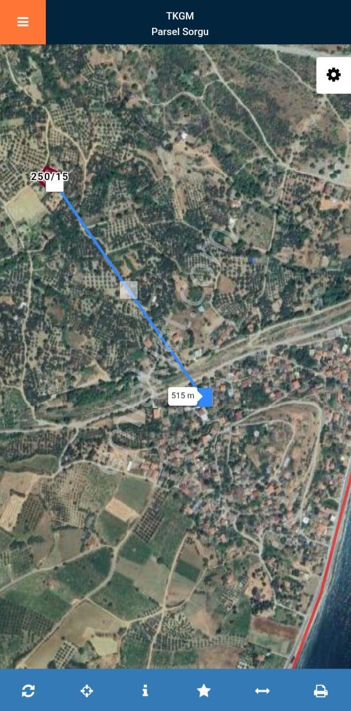 Besli Emlaktan Satılık Bağ-zeytinlik - Görsel 4