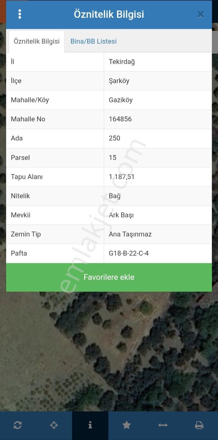 Besli Emlaktan Satılık Bağ-zeytinlik - Görsel 2