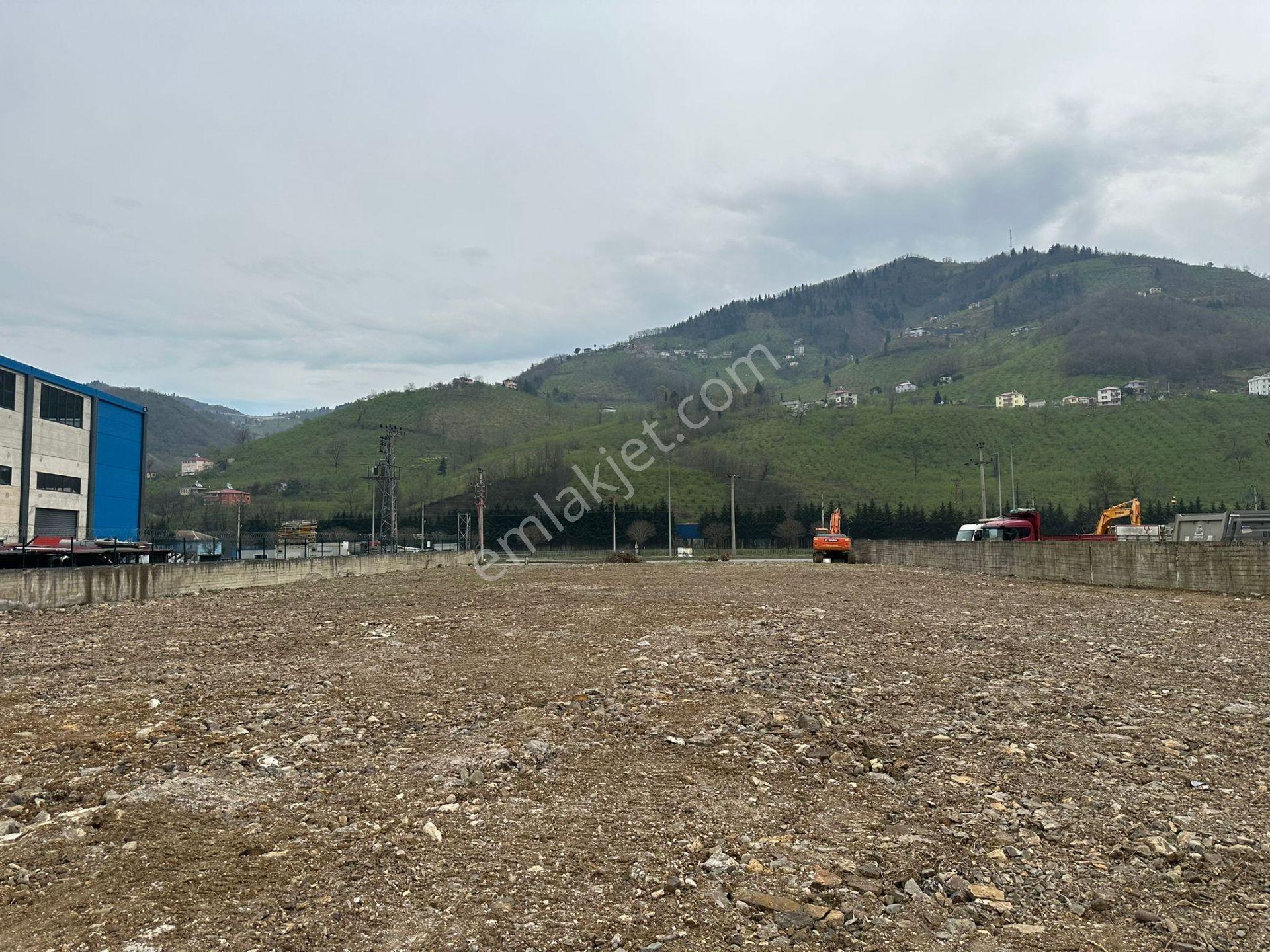 Sahibinden Kiralık Arsa Ana Yola Sıfır - Görsel 6