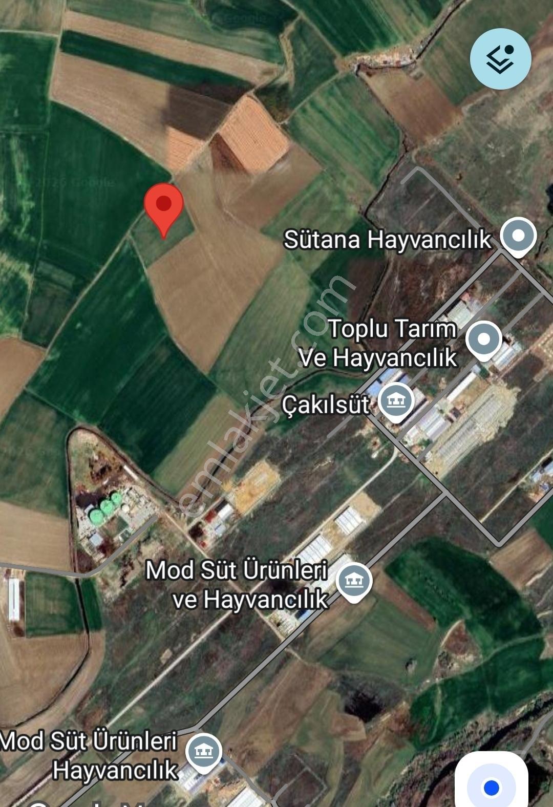 Sincan Anayurt'ta Satılık 4913 M2 Tarla Hissesi, Org. San. Yanı - Görsel 3